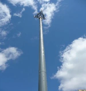 Palo di utilità utility alto albero