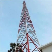 Qual è il ruolo dei pali radio nelle comunicazioni senza fili?